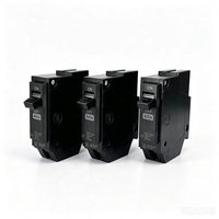 Disjoncteur miniature AC bipolaire THQL 30A/40A/50A/60A 110V/220V/240V pour usage industriel