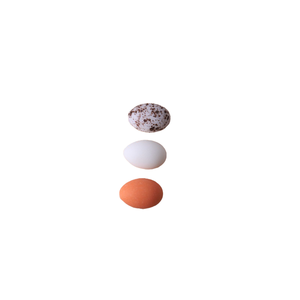 Pintoresco Nido de Pájaros Familiar - Simulación DIY de Micro-Paisaje, Adorno Pequeño Tridimensional de Resina Artesanal - Product Image 4
