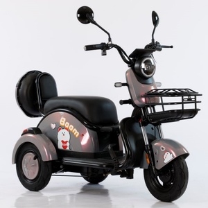 Tricycle Motorized Cargo Electric Bicycle Three Wheel Electric Scooters Bike Electric Tricycle for Adults - Product Image 5