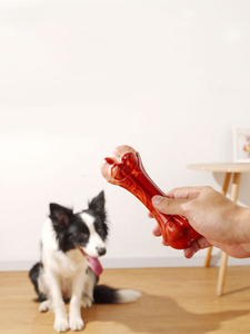 Üretici toptan sığır koku TPU naylon chew köpek simülasyon kemik oyuncak - Product Image 6