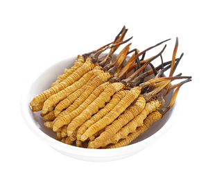 السائبة الطازجة المجففة كورديسيبين شيتاكي mycelium كامل teins كورديسيبس سينينسيس الفطر كورديسيبس فطر فطر militaris الفطريات - Product Image 3