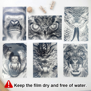 Kit de <span class=keywords><strong>Film</strong></span> de Papier d'Impression Soleil Couleur A6 avec Tutoriel et Outils 5 Pcs Cyanotype Paper Owl Head <span class=keywords><strong>Film</strong></span> 1 Sheets - Beginner DIY Art - Product Image 3