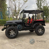 Mini Jeep Caiteng pour adultes, électrique/essence, 4x4, transmission automatique, 2-4 places, buggy tout-terrain haute vitesse