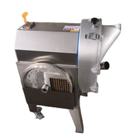 Commerciële kleine automatische groente- en fruitsnijmachine met motor & motorblok van roestvrij staal voor wortel, aardappel, komkommer, ui