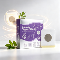 Patch Minceur Certifié CE à Marque Blanche, Patch Amincissant Corporel à Base d'Extraits Naturels de Plantes, Soin Corporel pour l'Abdomen, Faible MOQ