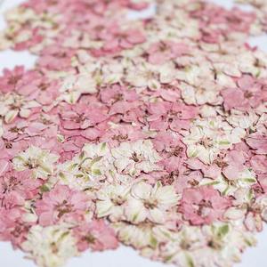 Hirondelles teintées, fleur séchée pied-de-poule fleur pressée bricolage signets en relief, étui de téléphone portable fleur séchée à la colle - Product Image 5