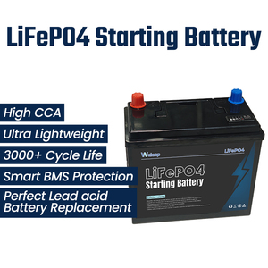12V60Ah Auto Start-Stopp-Batterie mit Anzeige für Ladung und Spannung, Lange Lebensdauer, 800CCA Starterbatterie, Blei-Säure-Ersatz - Product Image 1