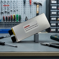 Batterie rechargeable LiPo (Lithium Polymère) LongKun 3.7V 8.5Ah 31.5Wh à haute densité énergétique pour drone UAV, robot, OEM/ODM