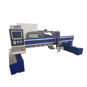 factory price High Precise double use gantry plasma cutting machine for sale