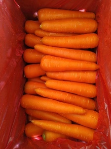 Mới thu hoạch cà rốt tươi rửa sạch cà rốt tươi - Product Image 2