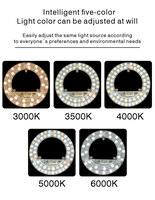 Kit de rétrofit magnétique 5CCT 12W 18W 24W réglable, panneau LED CE ERP ETL FCC RoHS pour remplacement de ventilateur lumineux