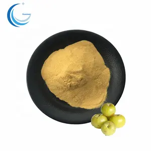 Phyllanthus Emblica Extract Powder High Quality Amla Extract