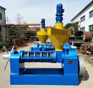 Sunflower seeds Oil Press for cold processing with Vacuum Filters