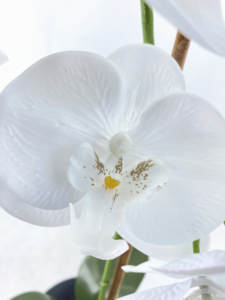 ดอกไ<span class=keywords><strong>ม</strong></span>้ประดิษฐ์เชิงพาณิชย์ขนาดใหญ่ราคาถูก <span class=keywords><strong>ร</strong></span>าคาขายส่ง<span class=keywords><strong>ส</strong></span>ำห<span class=keywords><strong>ร</strong></span>ับห้องนั่งเล่น - Product Image 4