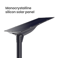 Farola Solar Integrada de 20W 30W 40W con Carga MPPT, Clasificación IP65, Construcción de Aluminio Fundido a Presión para Uso en Carreteras