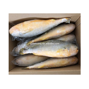 Prix <span class=keywords><strong>du</strong></span> poisson croaker <span class=keywords><strong>jaune</strong></span> frais congelé, entier et rond, de 500-600g, IQF, pour les États-Unis - Product Image 3