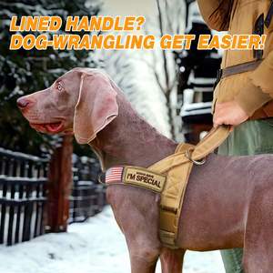 สายจูงสุนัขแบบใหม่สำหรับข้ามพรมแดน ทำจากไนลอน สำหรับสุนัขพันธุ์ใหญ่ พร้อมปลอกคอ สำหรับโกลเด้นรีทรีฟเวอร์ เยอรมันเชพเพิร์ด และสุนัขพันธุ์บอร์เดอร์ - Product Image 3