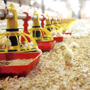 उच्च गुणवत्ता वाले पोल्ट्री फार्मिंग चिकन फीडिंग लाइन उपकरण स्वचालित ब्रोइलर पैन फीडर सिस्टम - Product Image 5