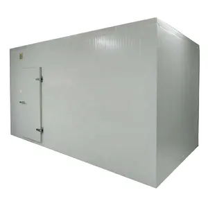 Hot Sale Blast Freezer Walk In Freezer Room With Cooling System For Chicken Fish Seafood