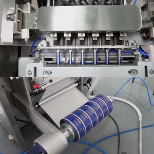 Automatic Multi Lane Sachet Hydration Powder Filling Packaging Machine 10g 20g Probiotics Powder Packing Machine - Product Image 5