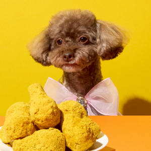 ขนมสัตว์เลี้ยงเกาหลี ออร์แกนิค อกไก่ ถั่วเต้าหู้ บรอกโคลี แครอท โปรตีนสูง แอนนี่.คอง แช่แข็ง โภชนาการสมดุล - Product Image 6