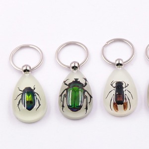 <span class=keywords><strong>Porte</strong></span>-clés en <span class=keywords><strong>résine</strong></span> avec des insectes réels lumineux de taille moyenne, scorpion - Product Image 6