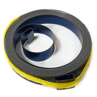 Ressort en spirale en acier plat métallique de 0,06 à 0,5 mm d'épaisseur, ressort de torsion en spirale, ressort de puissance