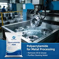 Agente Auxiliar Químico, Poliacrilamida Industrial Floculante, Elimina la Grasa y el Aceite para el Tratamiento de Aguas Residuales Industriales, Aniónico ISO