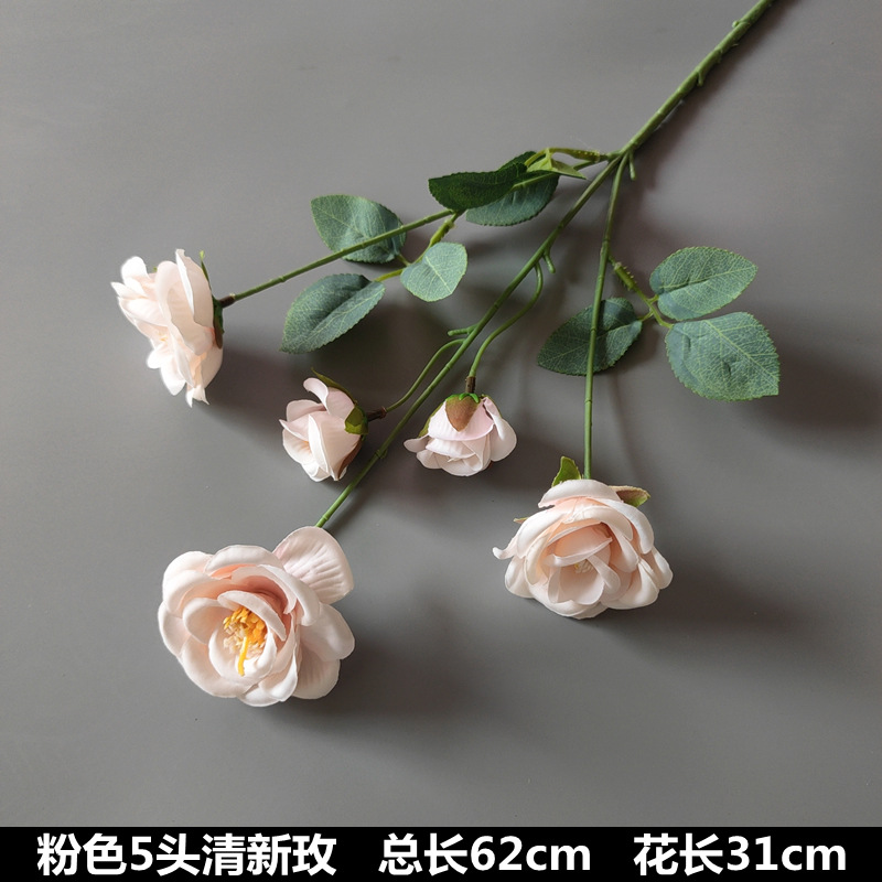5 roses fraîches