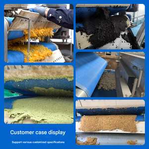 Máquina Extractora de Jugo de Frutas Industrial Automática Profesional Personalizada Tipo Correa de Alta Capacidad Comercial - Product Image 6