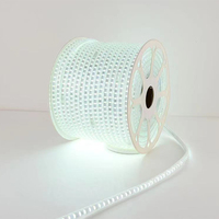 Bande LED CE en gros de l'usine Woojong, 220V SMD2835 Blanc 10mm, Contrôleur RoHS, Décoration paysagère