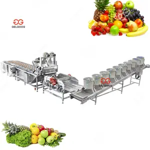 Gelgoog Fruit En Vegetarische Reinigingsmachine Appelwater Wortel Luchtbel Groentereiniger Aardbei Reinigingsmachine