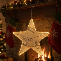 Lumière LED motif étoile de Noël blanc chaud, cadre en polyvinyle 3D, étanche IP44, décoration de jardin extérieur pour les fêtes