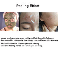 Kit combiné d'éponges végétales pour le visage à base d'algues, avec spicules d'éponge hydrolysées, éliminateur d'acné, éclaircissant pour la peau, sérum à base d'algues marines