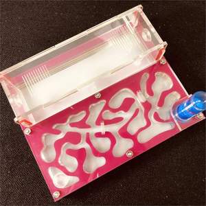 Nido de <span class=keywords><strong>colonia</strong></span> de hormigas acrílico de color plástico de vidrio cuadrado al por mayor para hormigas vivas - Product Image 3