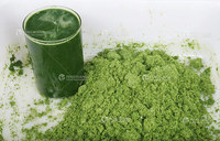 Pandanbladeren Groente Fruit Bellenwasmachine Snijmachine en Sapblender