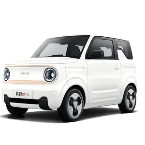 2023 Geely Panda Mini voiture 200KM série voiture électrique chinoise version mini voiture est en vente