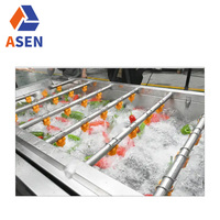 Fabriek Direct Verkopen Borstel Wasmachine Fruit En Groente Wassen Peeling Snijmachine