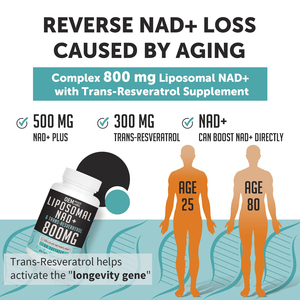 Supplément Liposomal NAD + Plus 800MG Nicotinamide Riboside Alternative pour l'énergie cellulaire Vieillissement sain et réparation musculaire - Product Image 5