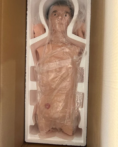 Ciencia médica nuevo estilo <span class=keywords><strong>muñeca</strong></span> de entrenamiento de enfermera de alta calidad (Mujer) Simulador de entrenamiento ficticio de enfermería - Product Image 2