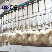 Machine à plumer pour volailles halal, capacité de 300 à 15 000 oiseaux/heure, pour poulets de chair, cailles, avec moteur à roulement et pompe pour haute performance