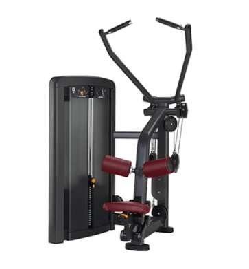 Entraîneur arrière de muscle de la tension L8012 élevée