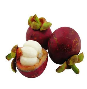 Mangosteen kabuk özü