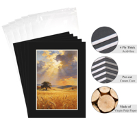 Lot de 12 passe-partout noirs prédécoupés 4 plis faits à la main sans acide pour cadres photo et présentation d'œuvres d'art en galerie
