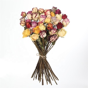 M008 naturale rose secche fornitori all'ingrosso di decorazioni per sempre durevole fiori secchi Bouquet di fiori secchi & disposizione - Product Image 2