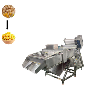 Despulpador Profesional Personalizado en Venta, Despulpador de Cerezas a Bajo Precio - Product Image 1