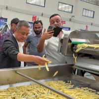 Línea de Producción de Papas Fritas Congeladas Totalmente Automática con Control PLC, Equipo Inteligente para la Elaboración de Papas Fritas