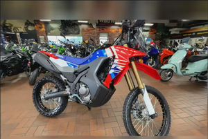 OFERTA LISTA para MONTAR 2025 For-Hondas Dirt Bike Motocicleta <span class=keywords><strong>CRF300L</strong></span> <span class=keywords><strong>RALLY</strong></span> a la venta Motocicletas todoterreno - Product Image 3