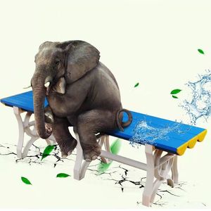 Abs Thickened <b>Plastic</b> Long Bench Waterproof Shoe Changing Stool For Swimming <b>Pools</b> Gyms Stadiums Changing Rooms Bathrooms - Product Image 1