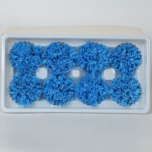 Clavel preservado de alta calidad al por mayor, <span class=keywords><strong>flores</strong></span> frescas eternas naturales para siempre para el regalo del Día DE LA Madre de vacaciones - Product Image 4